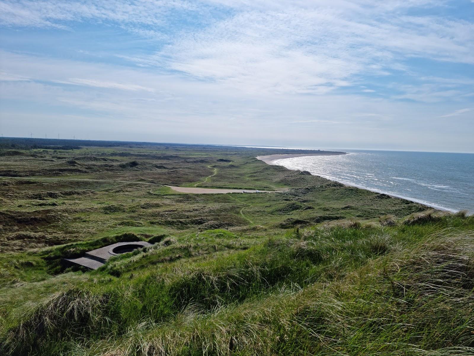 Sandee Bulbjerg
