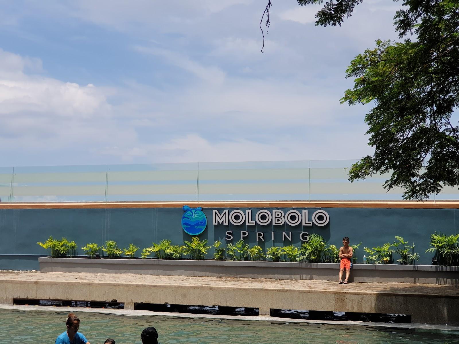Sandee Molobolo Spring