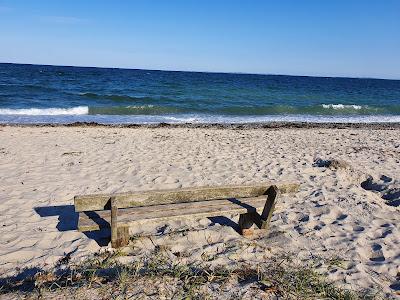 Sandee - Strand Grenen