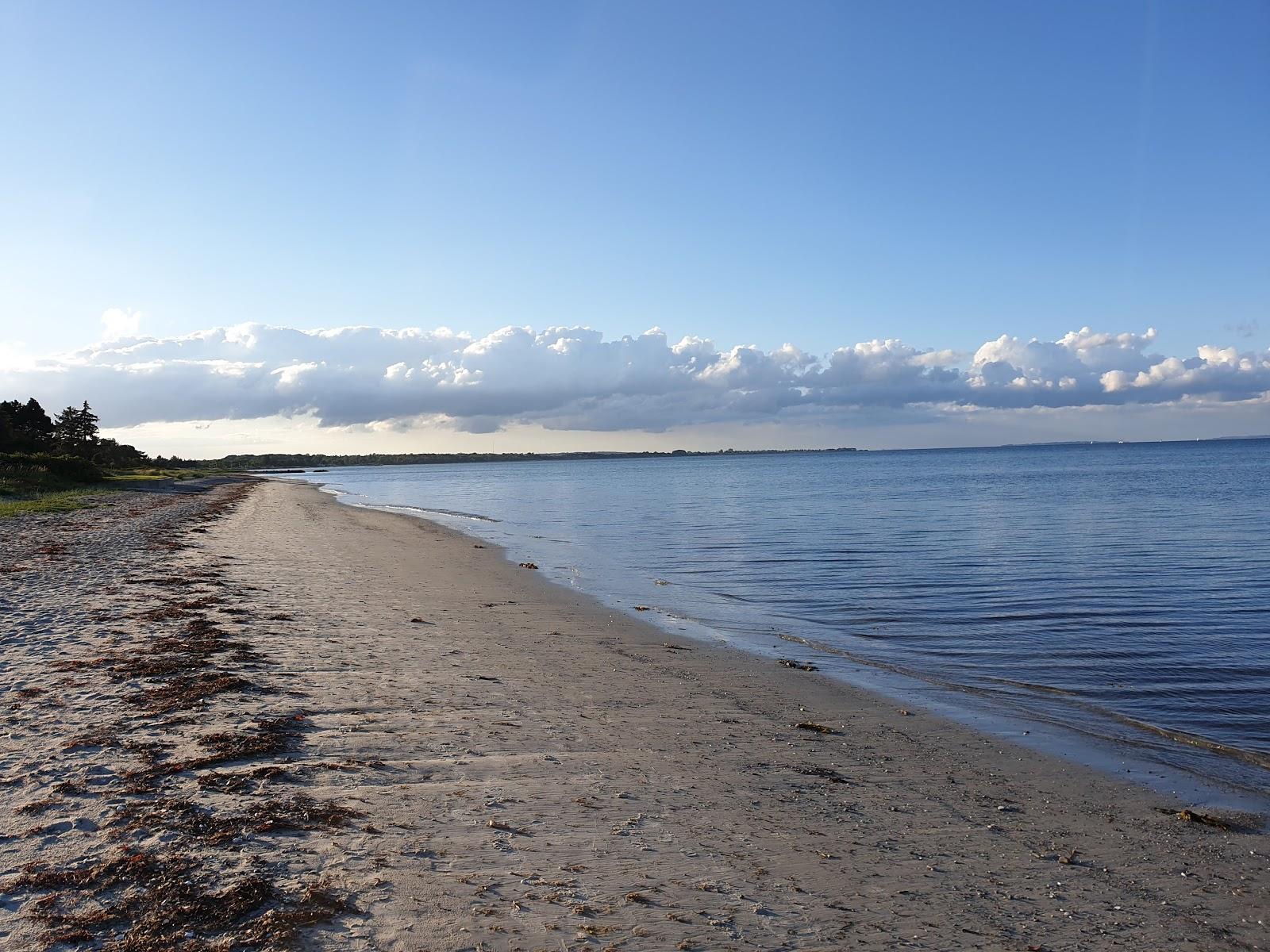 Sandee Dyngby Beach