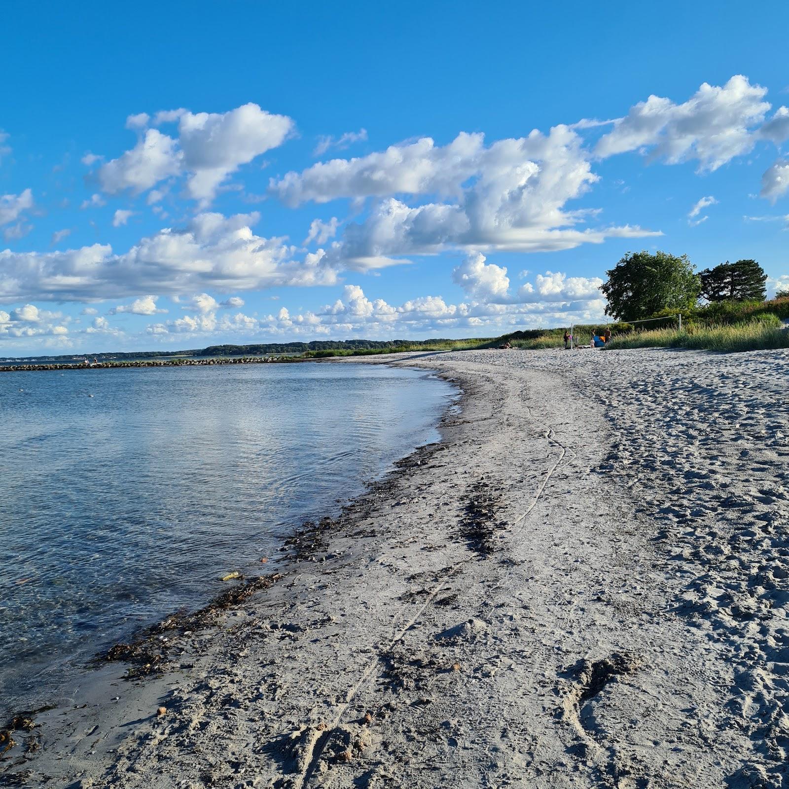 Sandee Level Beach Photo