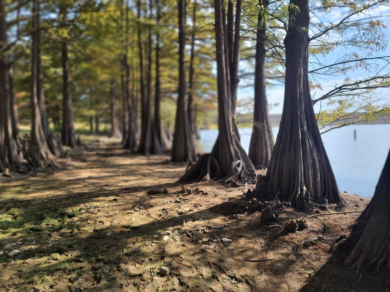 Sandee - Waveland Park Recreation Area