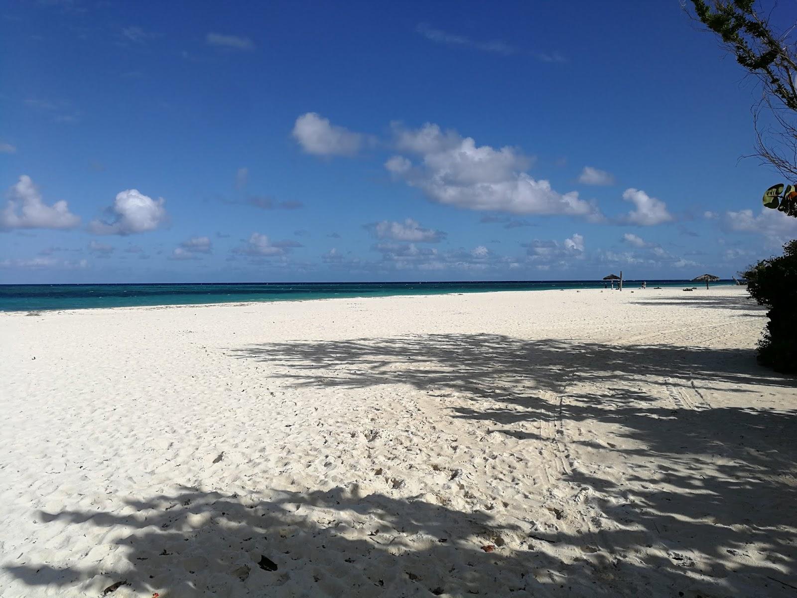 Sandee Playa Bani