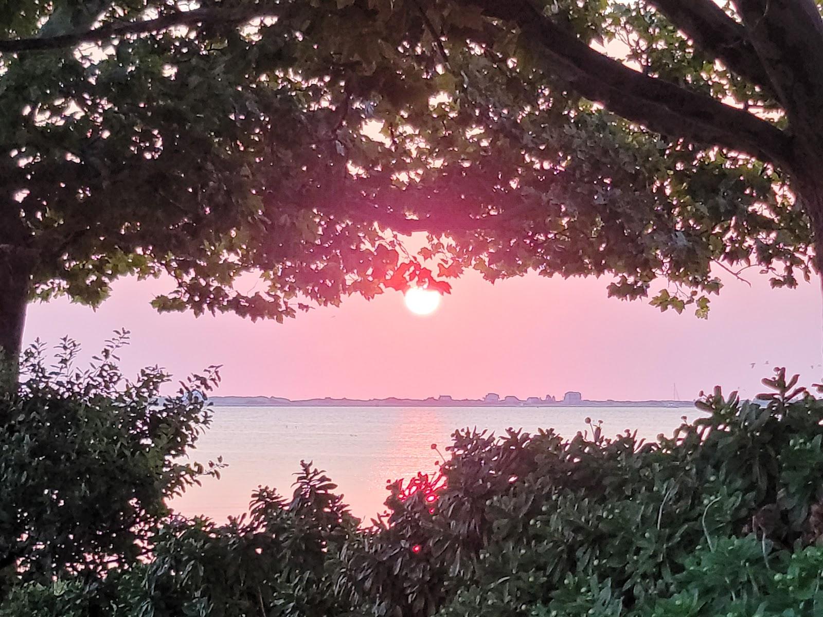 Sandee Nelson Beach