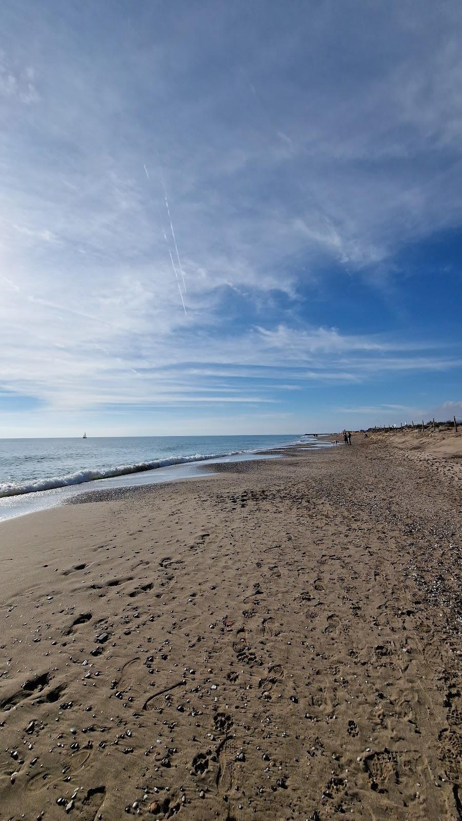 Sandee - Platja De La Pineda