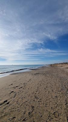 Sandee - Platja De La Pineda