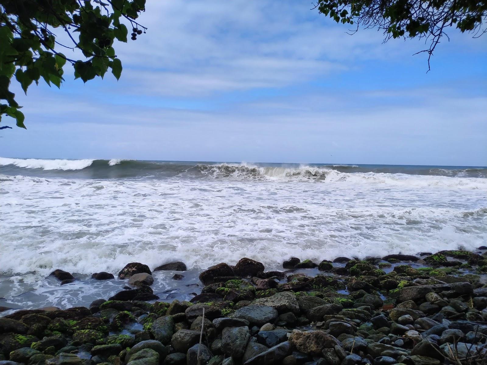 Sandee Playa Punta Care