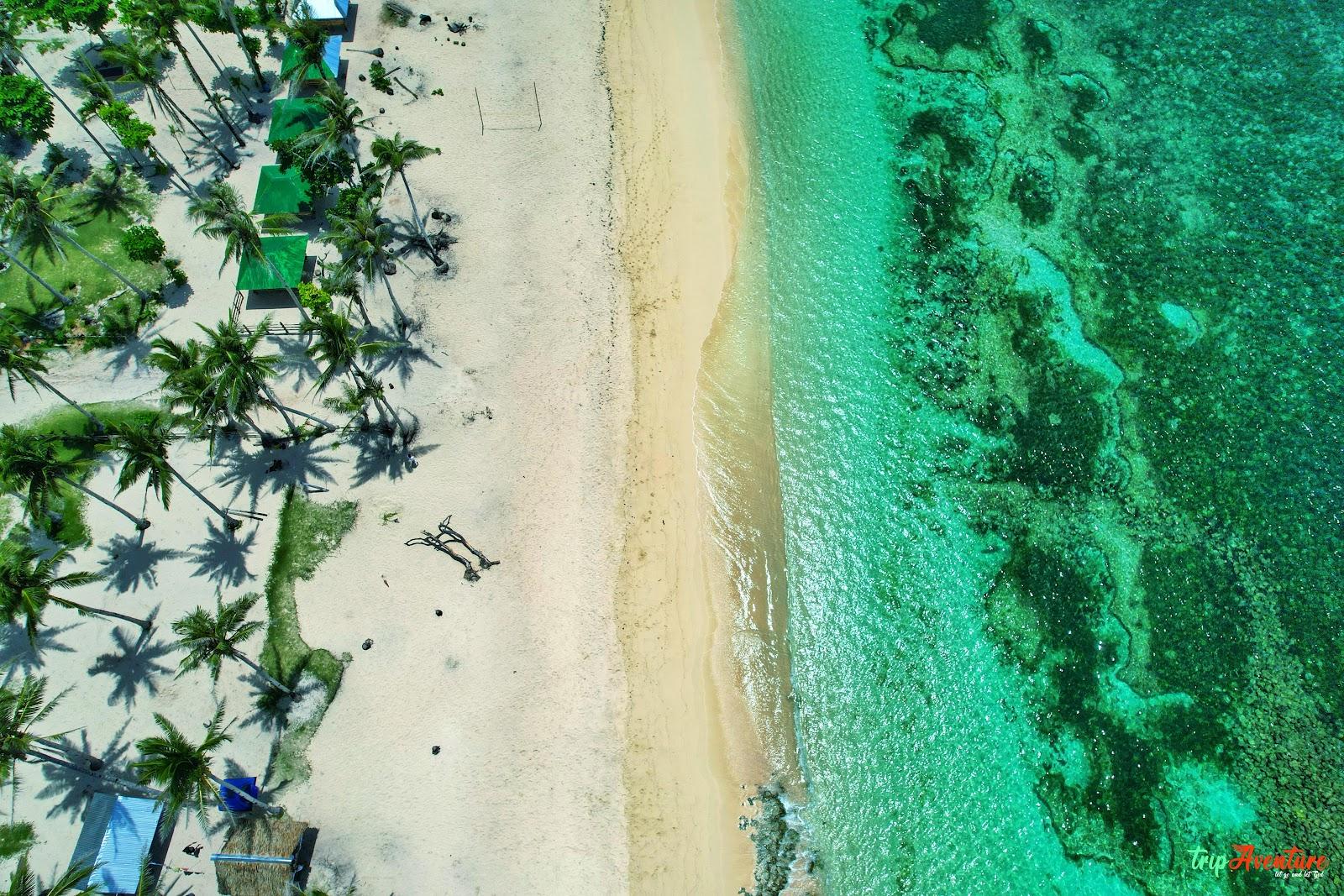 Sandee Alegria Beach