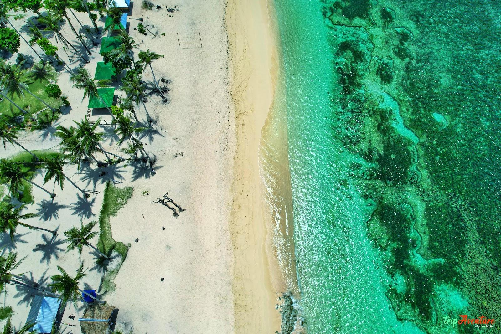 Sandee Alegria Beach Photo