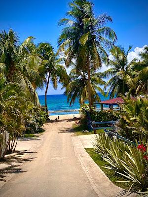 Sandee - Bastimento Beach