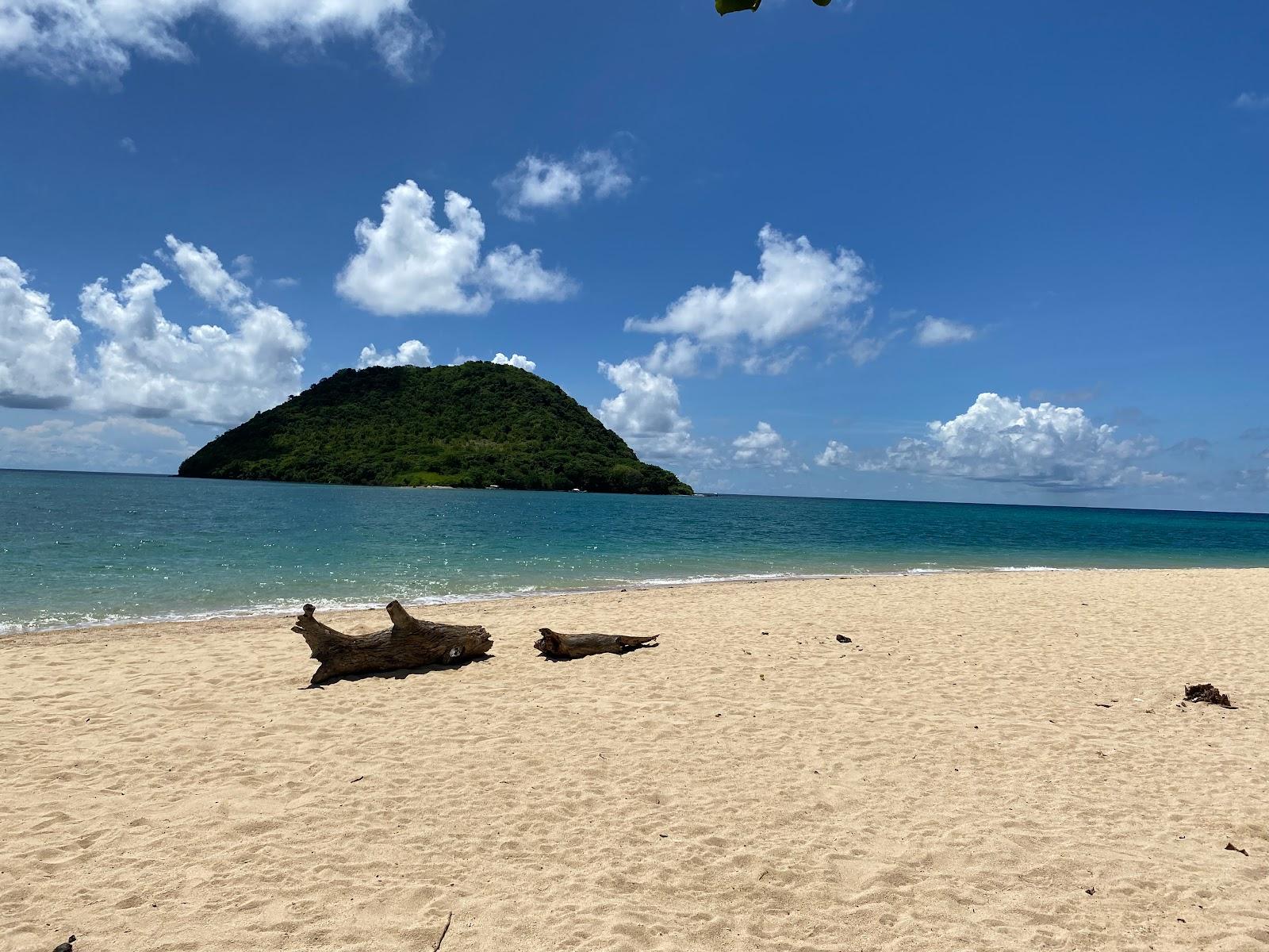 Sandee Tanjung Buaya Beach Photo