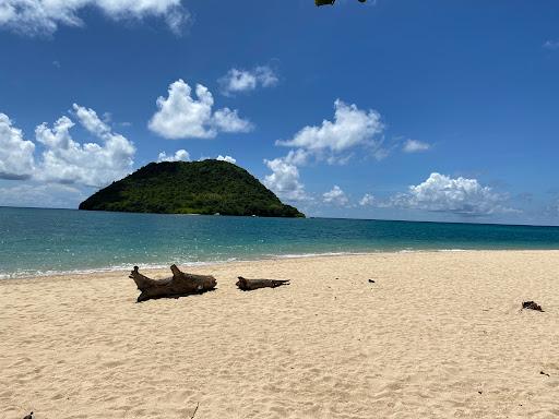 Sandee - Tanjung Buaya Beach