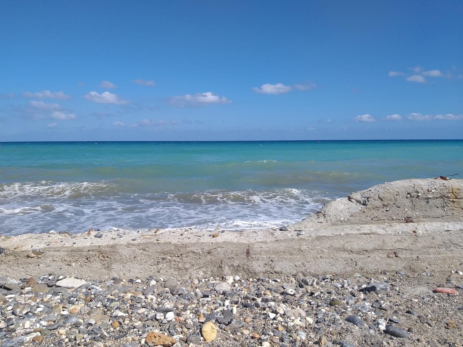 Sandee Dog Beach Ceriale