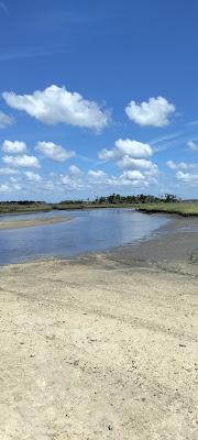 Sandee - Yankeetown Beach