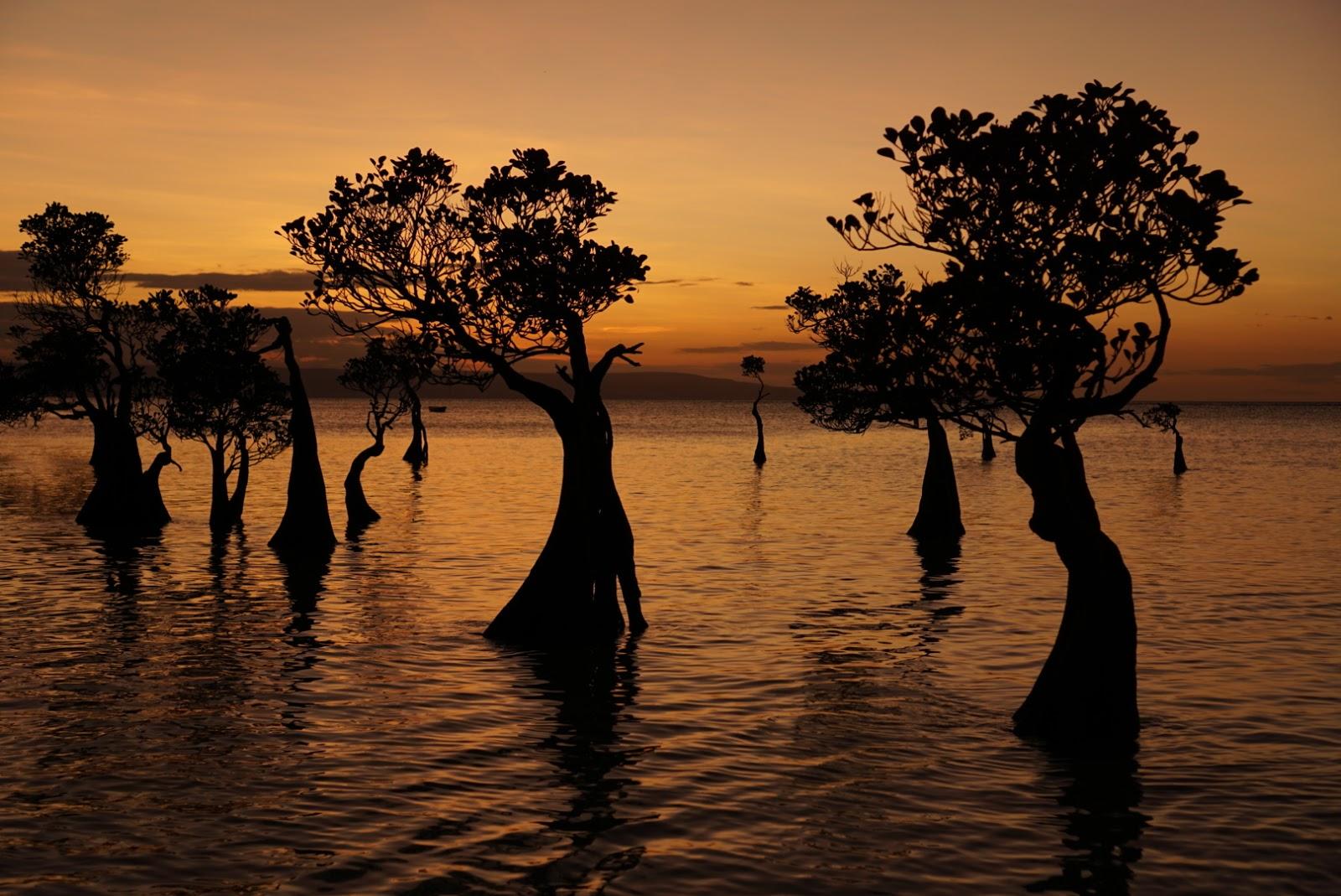 Sandee - Lawena Beach