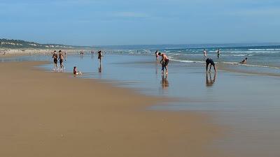 Sandee - Praia Do Rei