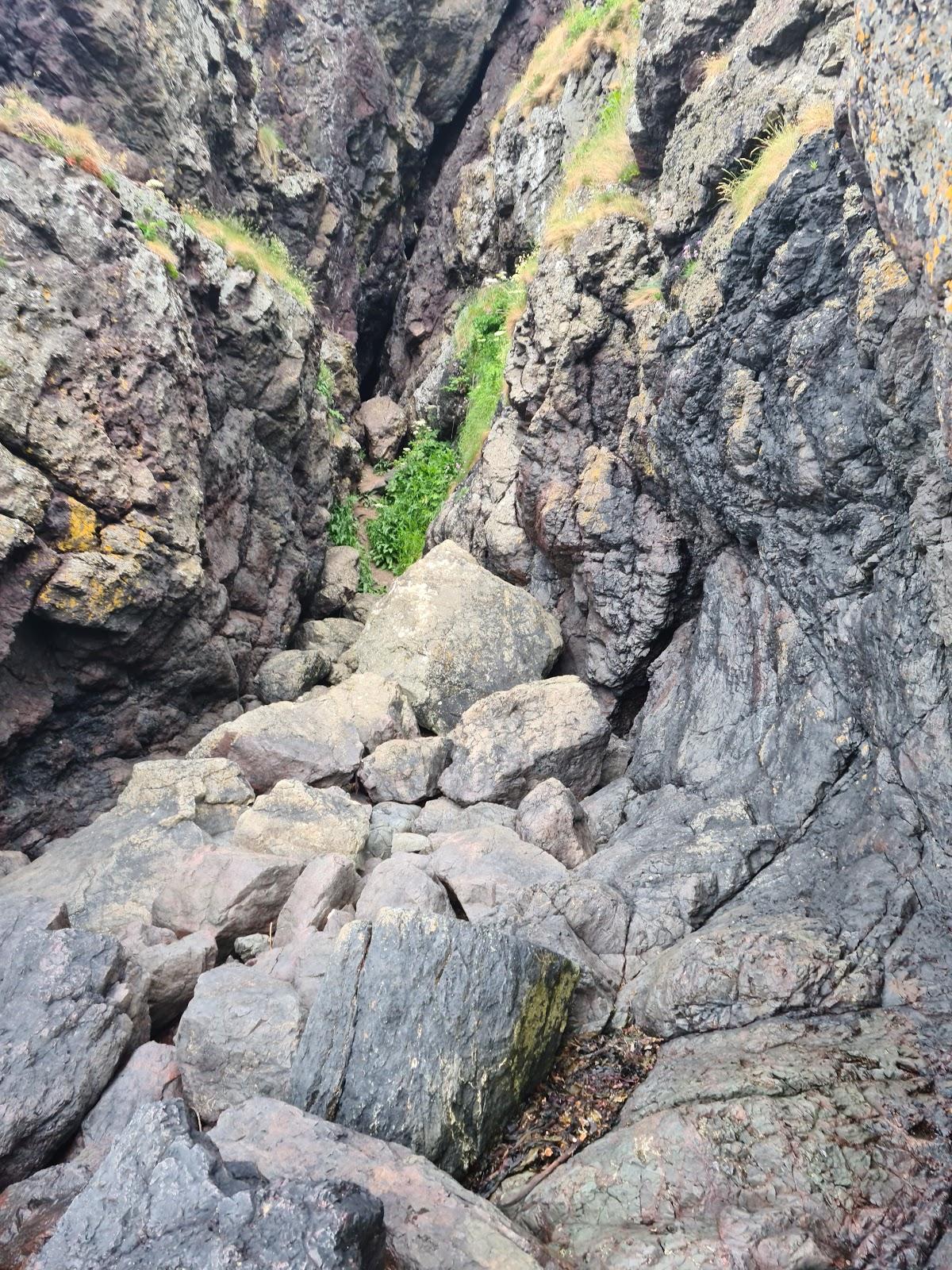 Sandee Sawney Bean's Cave