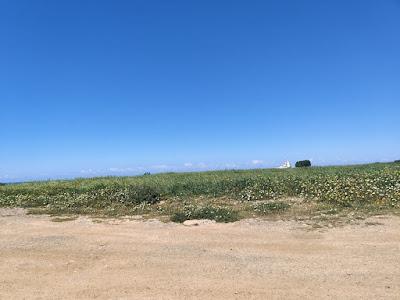 Sandee - Plage Oulad Amghar