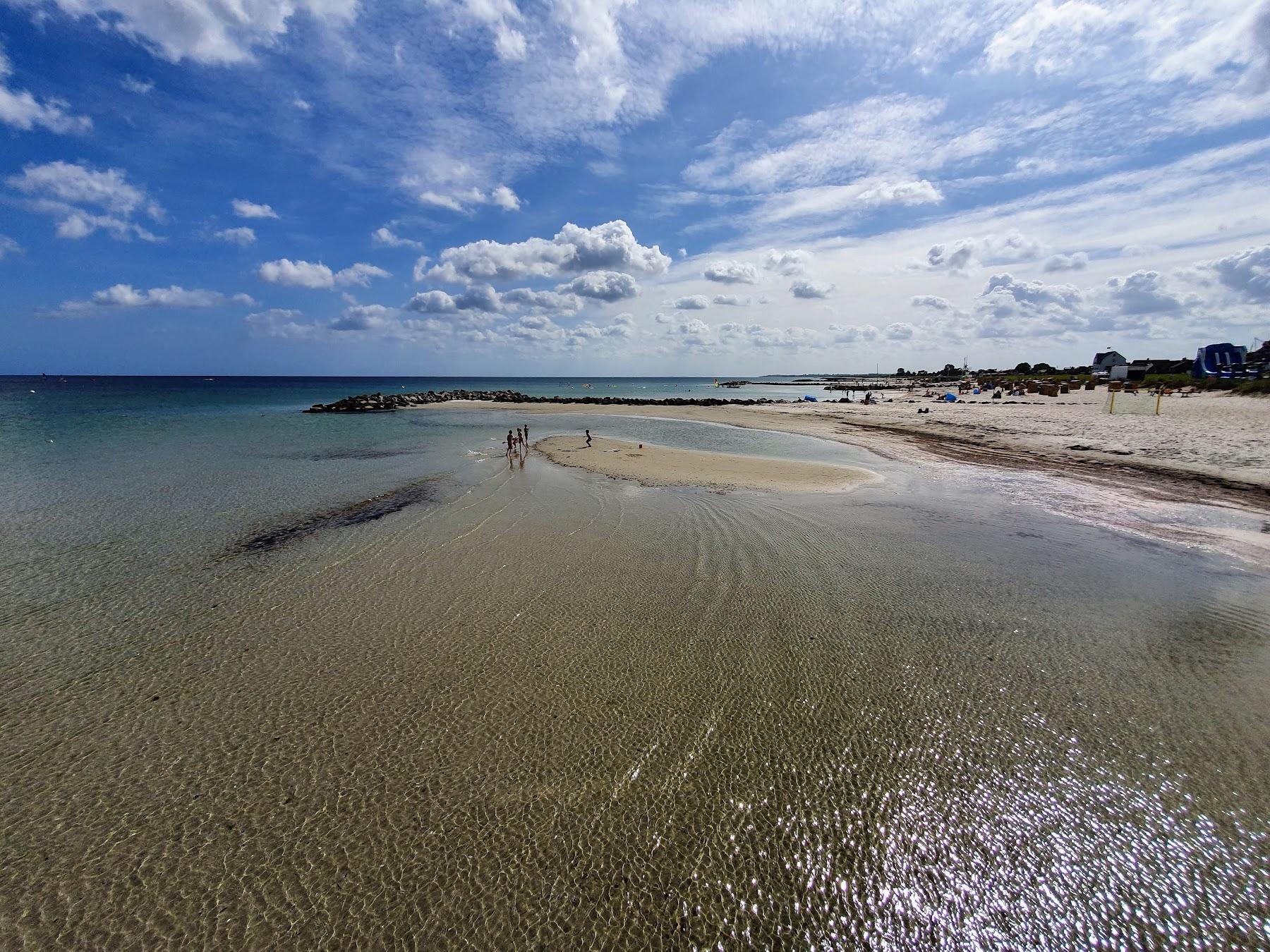 Sandee Schonberger Strand