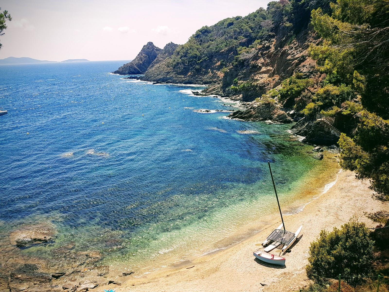 Sandee Plage Grande Calanque Photo