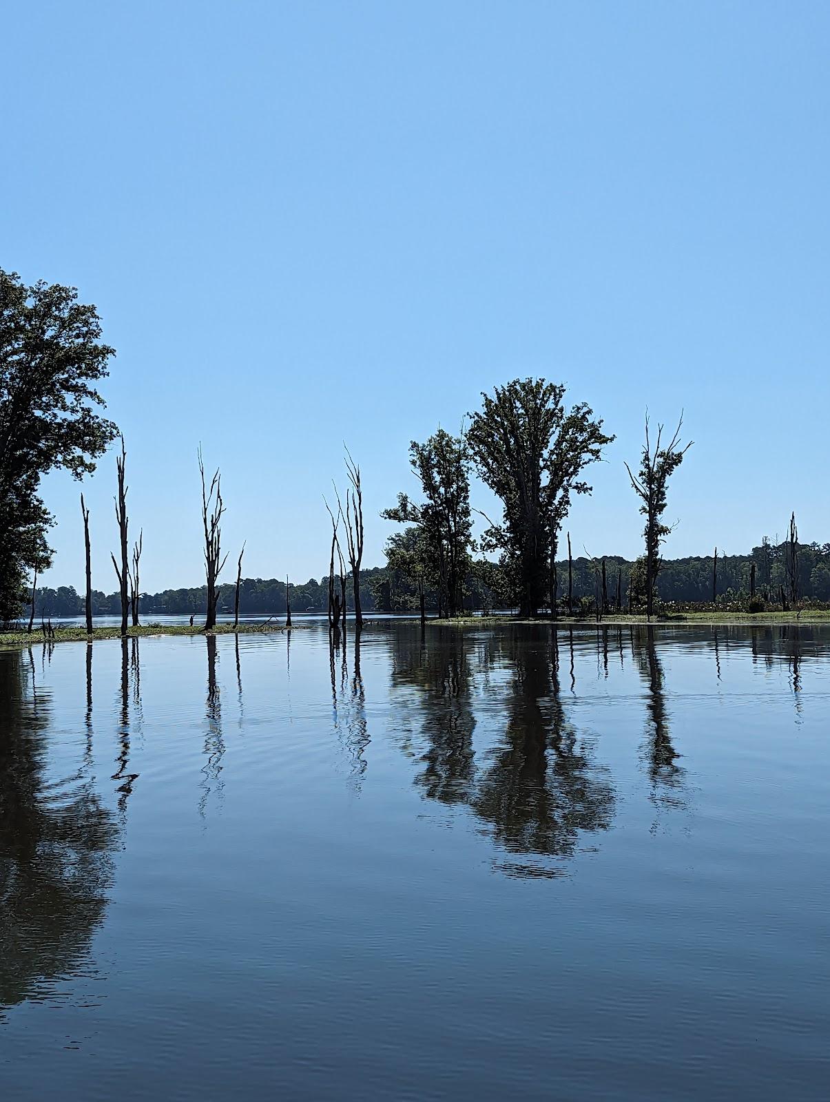 Sandee - Kempson Bridge