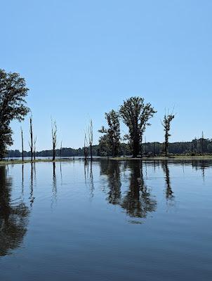 Sandee - Kempson Bridge