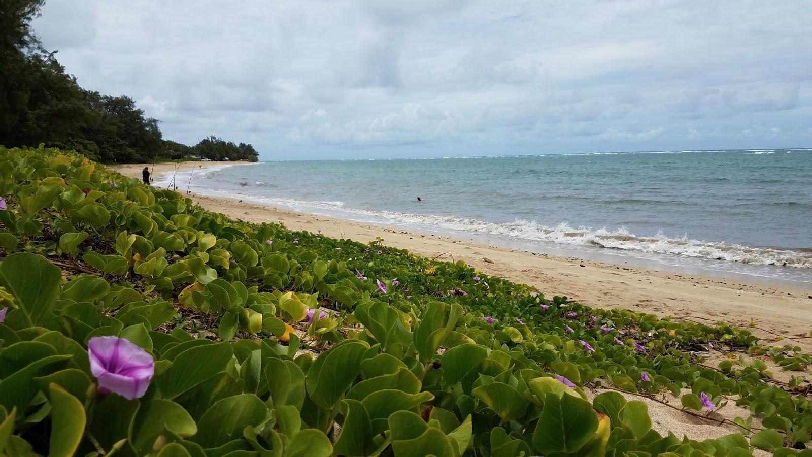 Sandee - Punaluu Beach Park