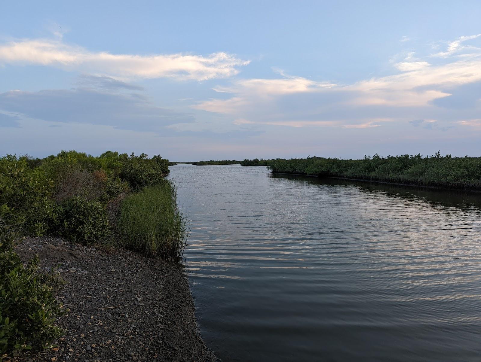 Sandee - Elmer's Island Beach