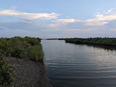 Sandee - Elmer's Island Beach