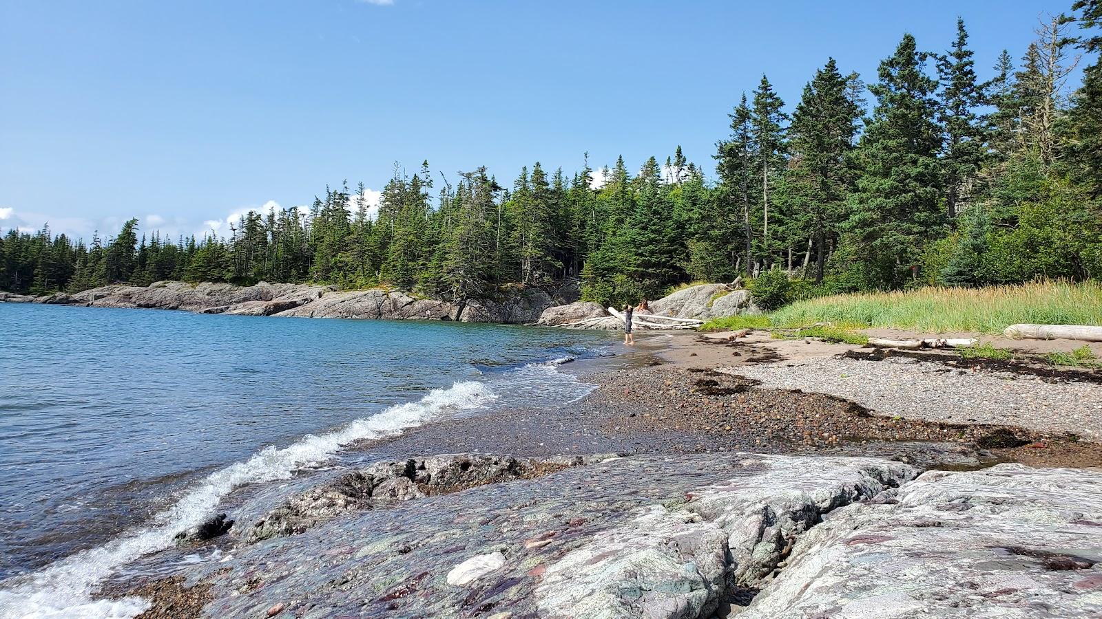 Sandee Connors Bros. Nature Preserve At Pea Point Photo