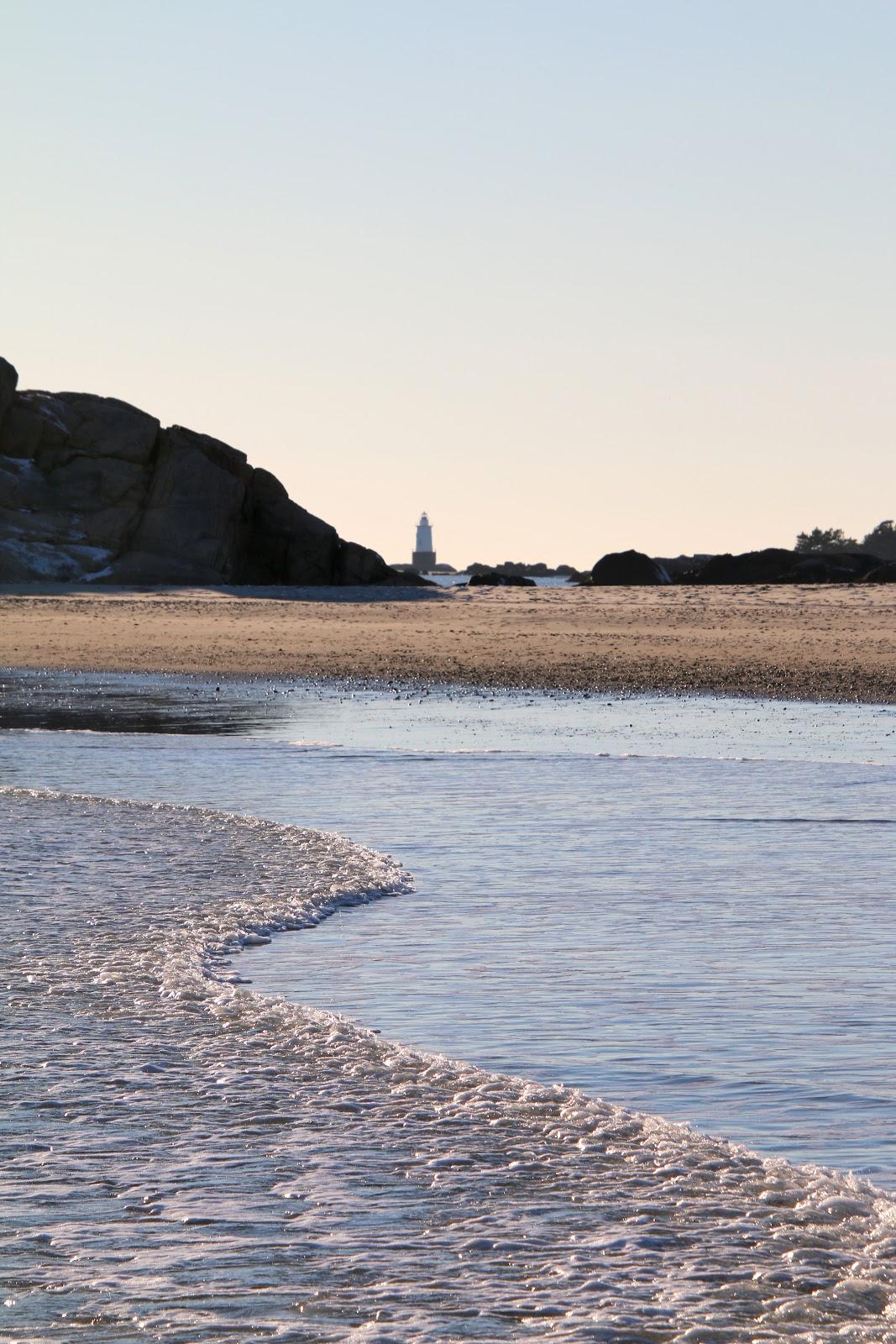 Sandee - Tappens Beach