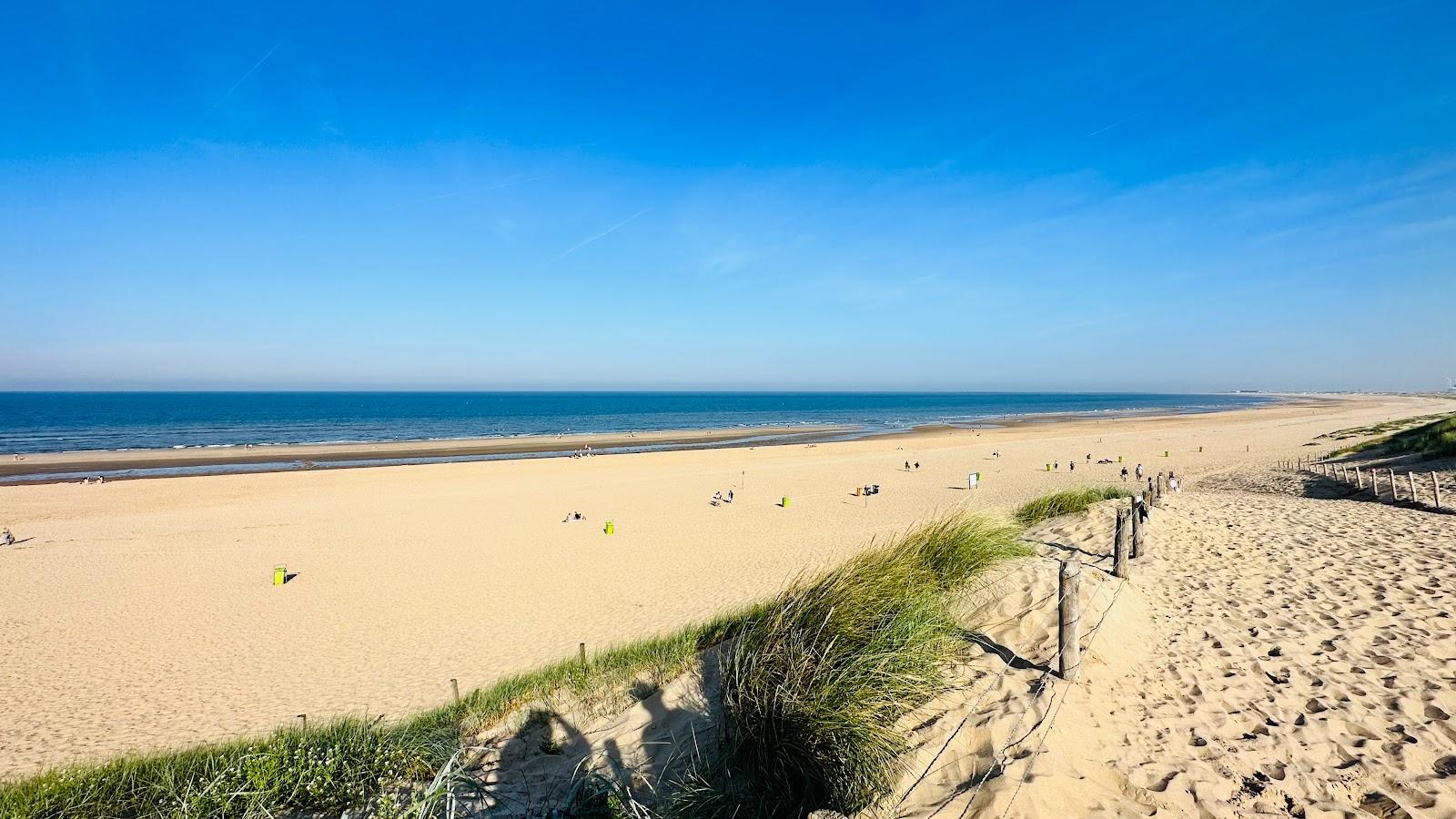 Sandee Parnassia Aan Zee Photo