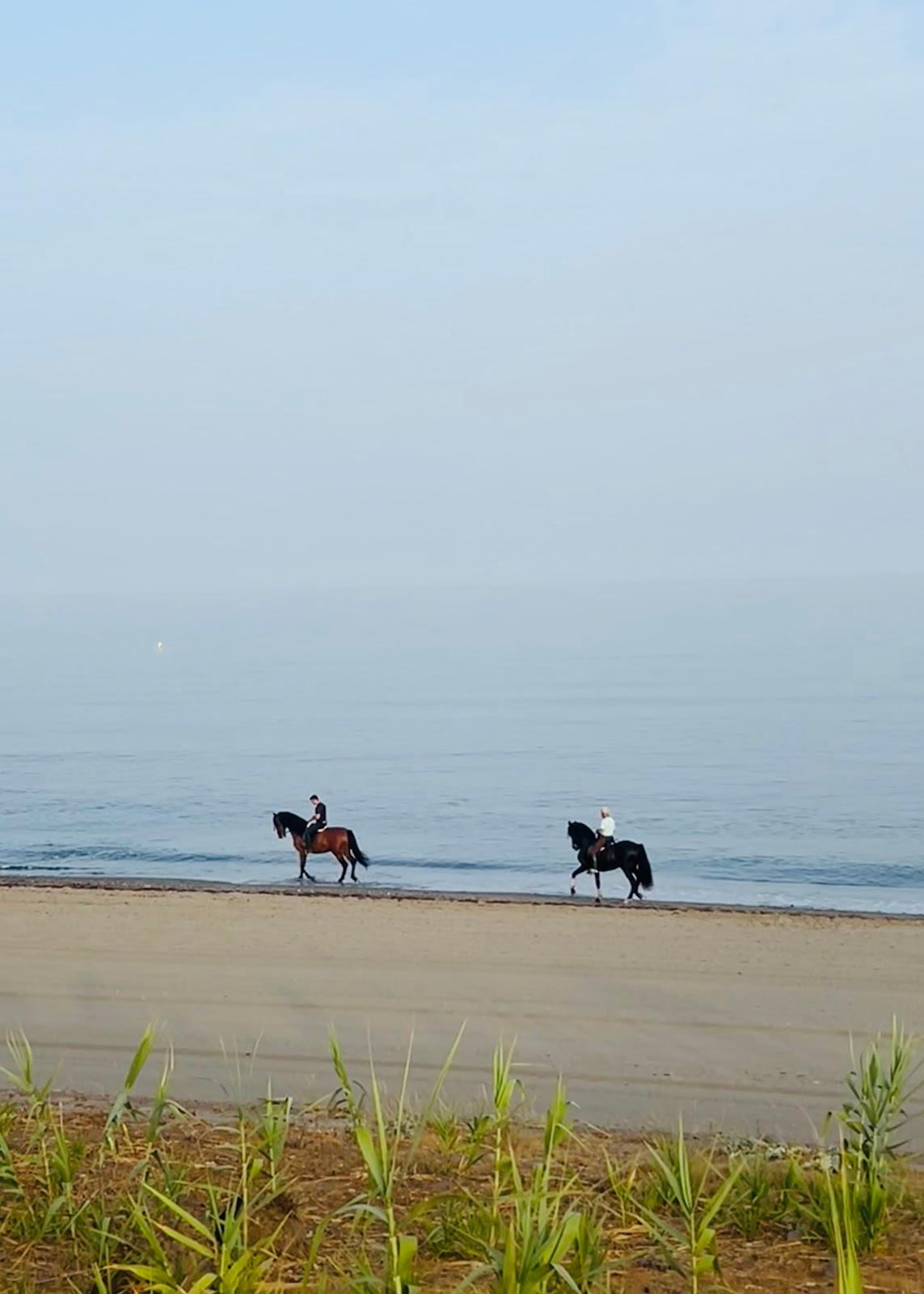 Sandee - Playa Del Rio Castor