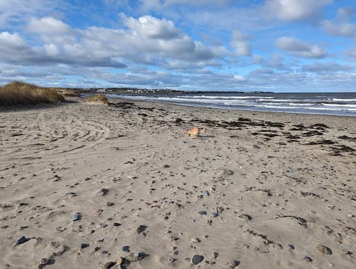 Sandee Big Glace Bay Beach Photo