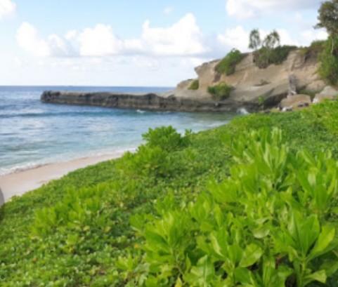 Sandee Wisata Batu Siambung-Ambung