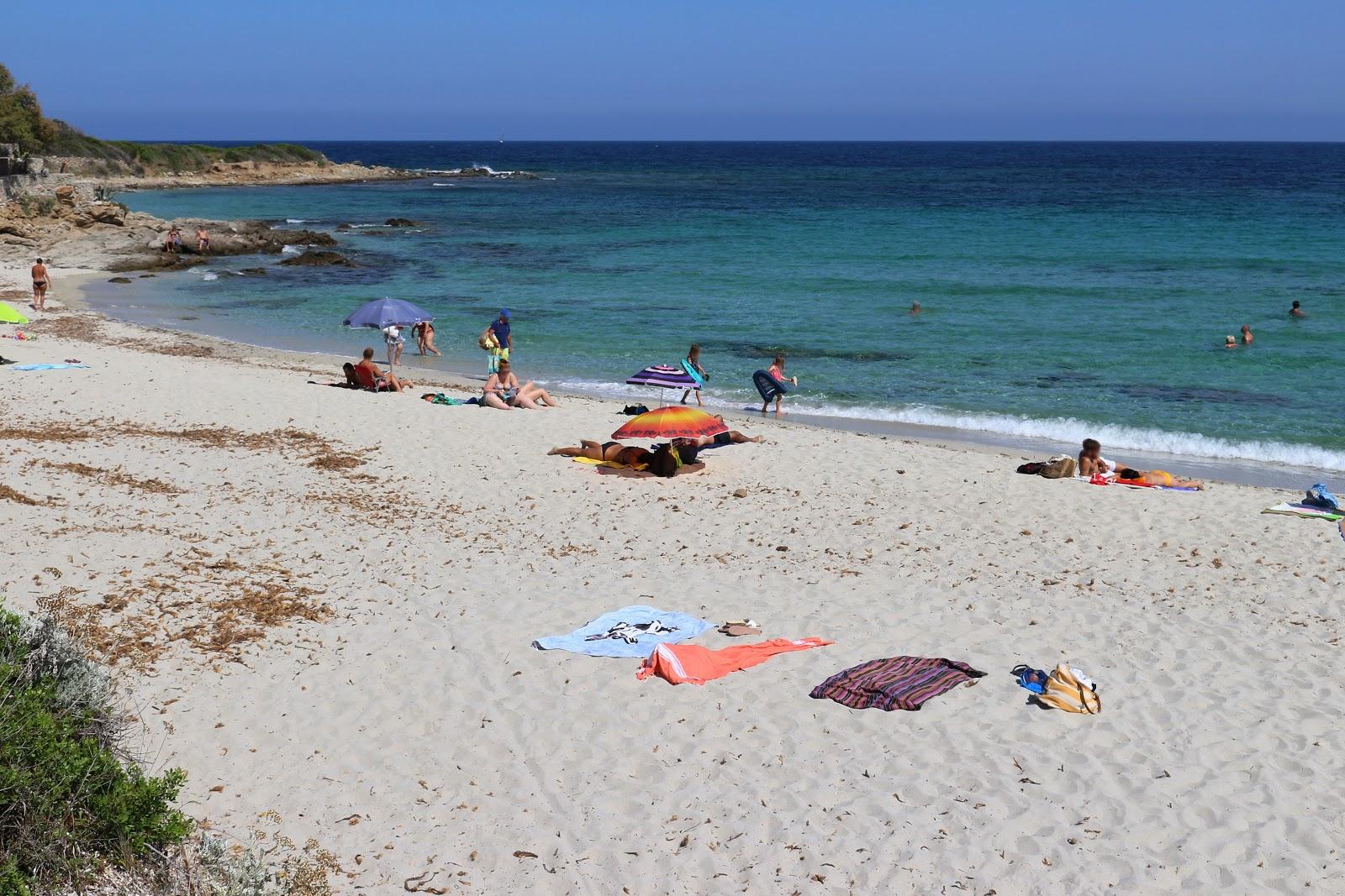 Sandee Plage De Ghjunchitu