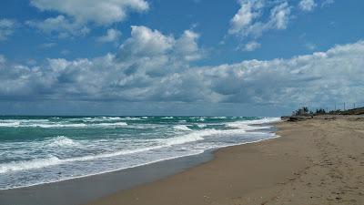 Sandee - Santa Lucea Beach