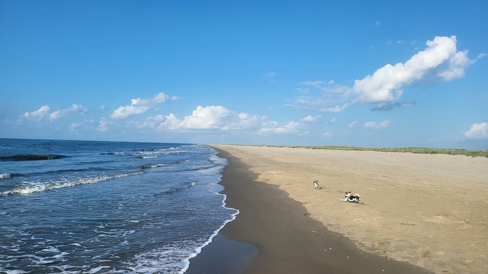 Sandee Elmer's Island Beach