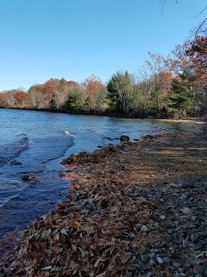 Sandee - Leslie E. Roberts Beach & Recreation Area