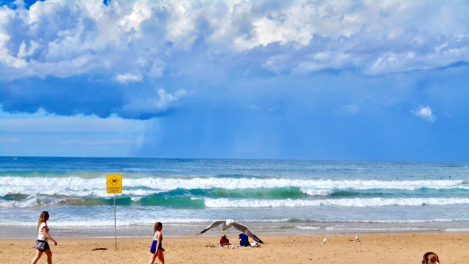 Sandee North Steyne Beach Photo