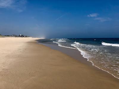 Sandee - Flying Point Beach