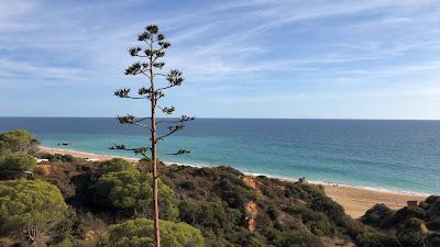 Sandee - Praia Dos Alemaes