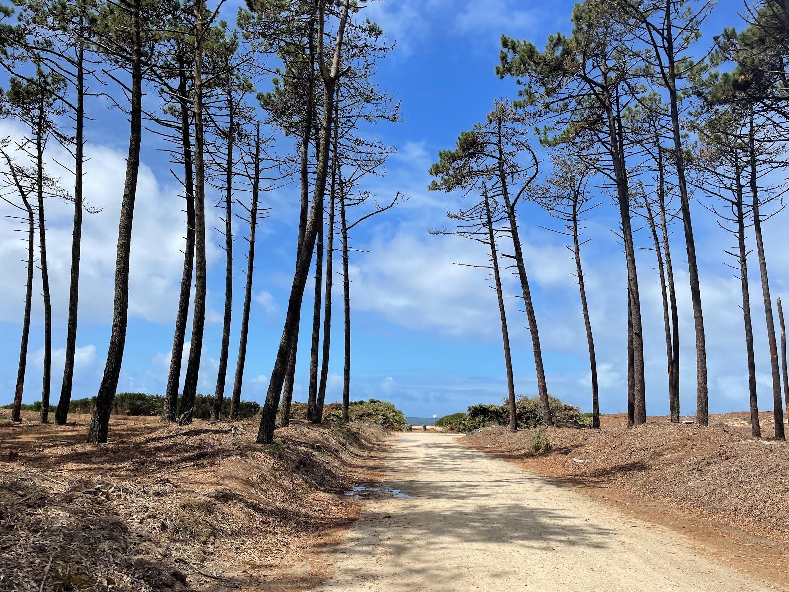 Sandee - Cortegaca Sul Beach