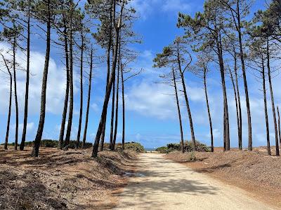 Sandee - Cortegaca Sul Beach