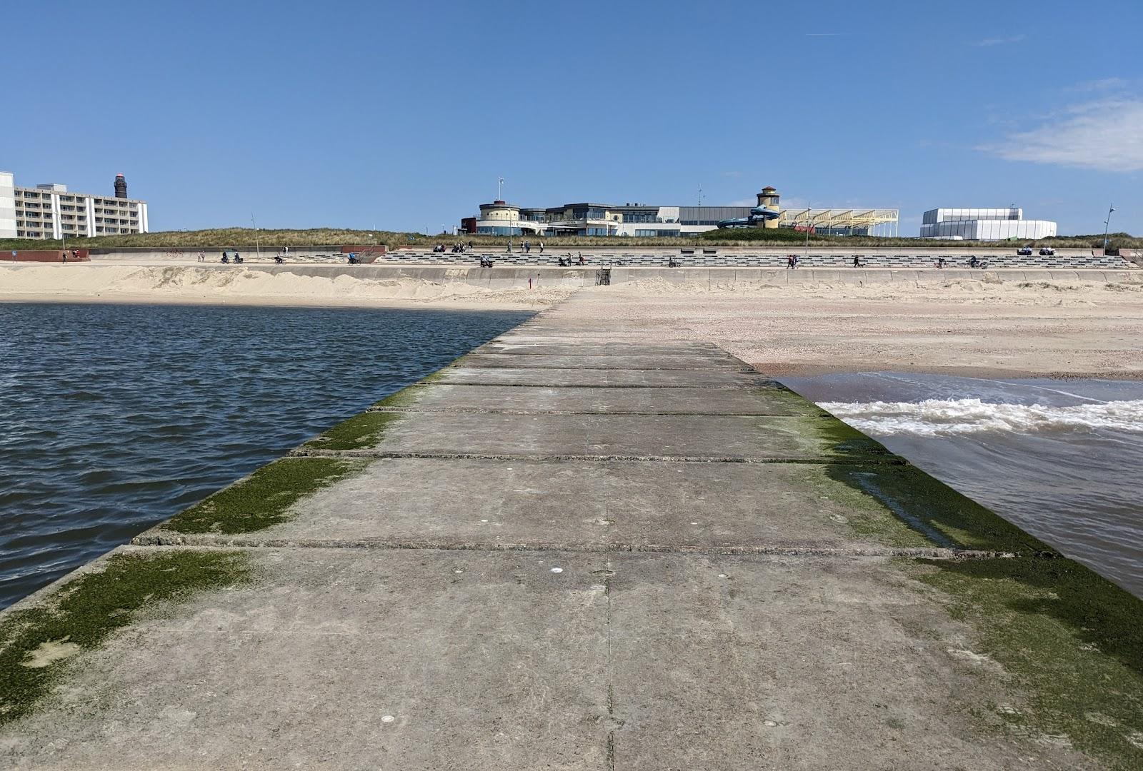 Sandee Seehundbank Borkum