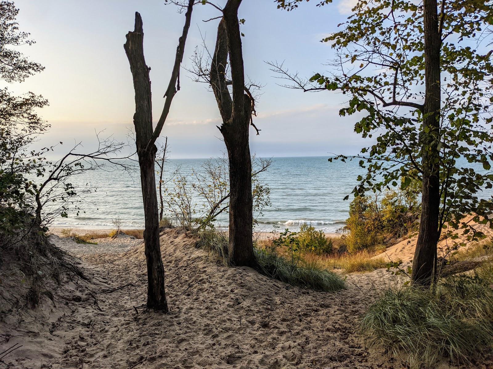 Sandee Indiana Dunes State Park