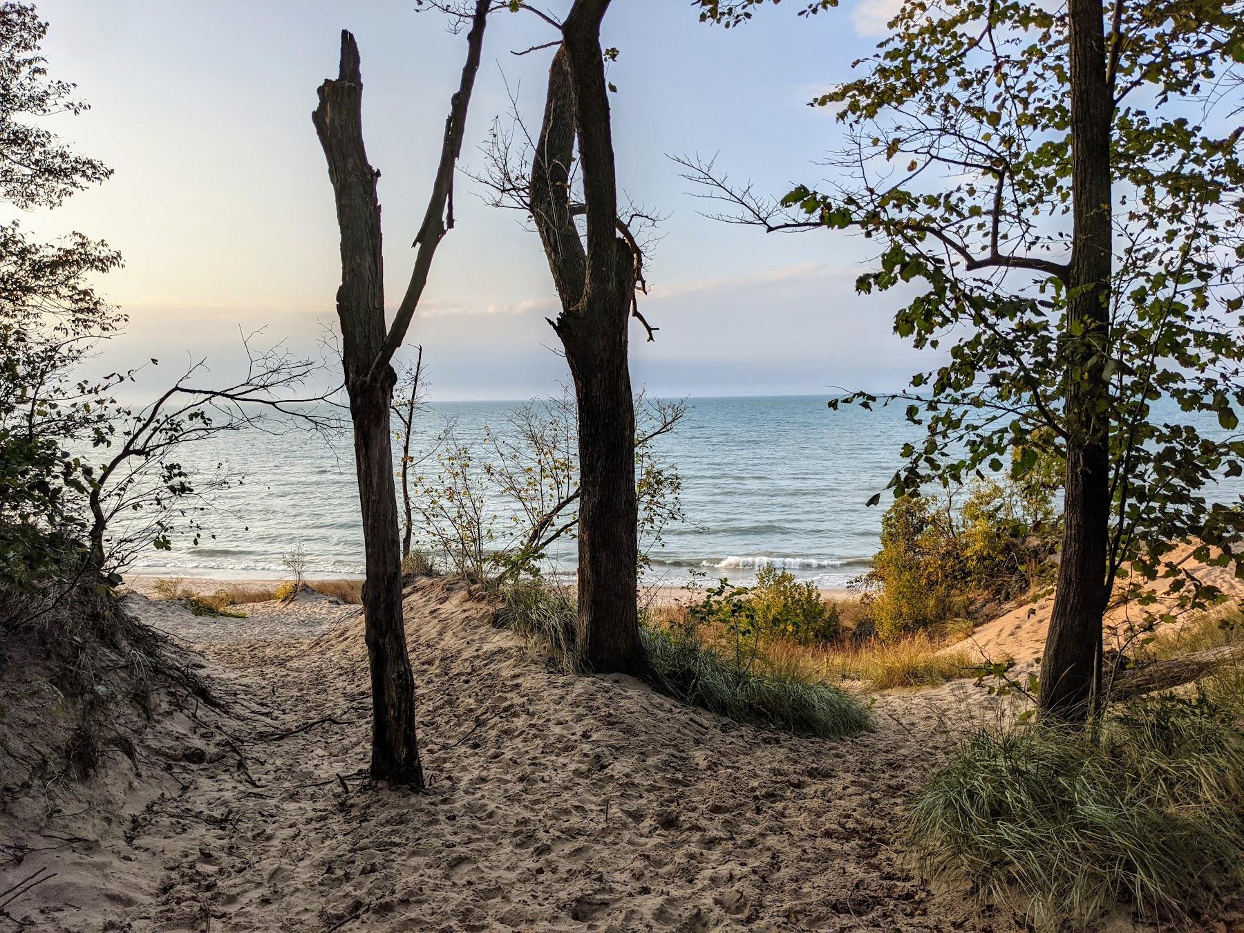 Sandee Indiana Dunes State Park