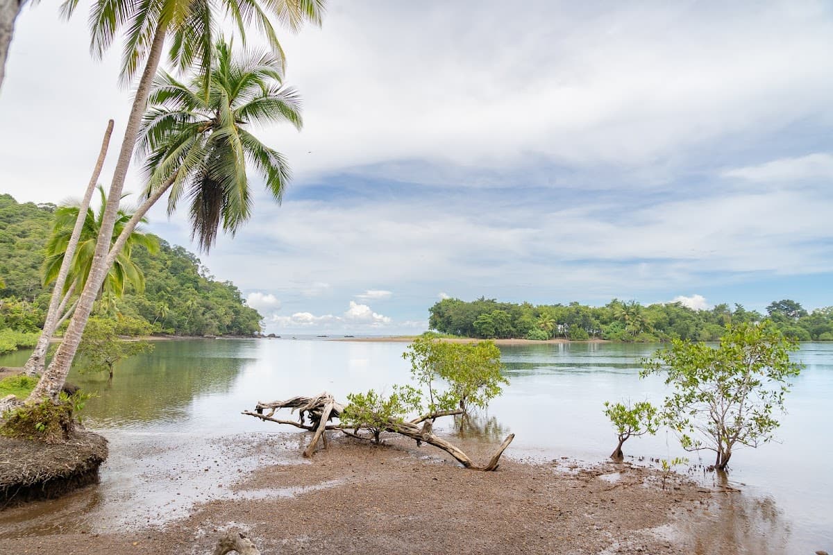 Sandee Playa Ganado Beach Photo