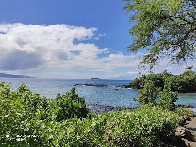 Sandee - Ahihi-Kina'U Natural Area Reserve