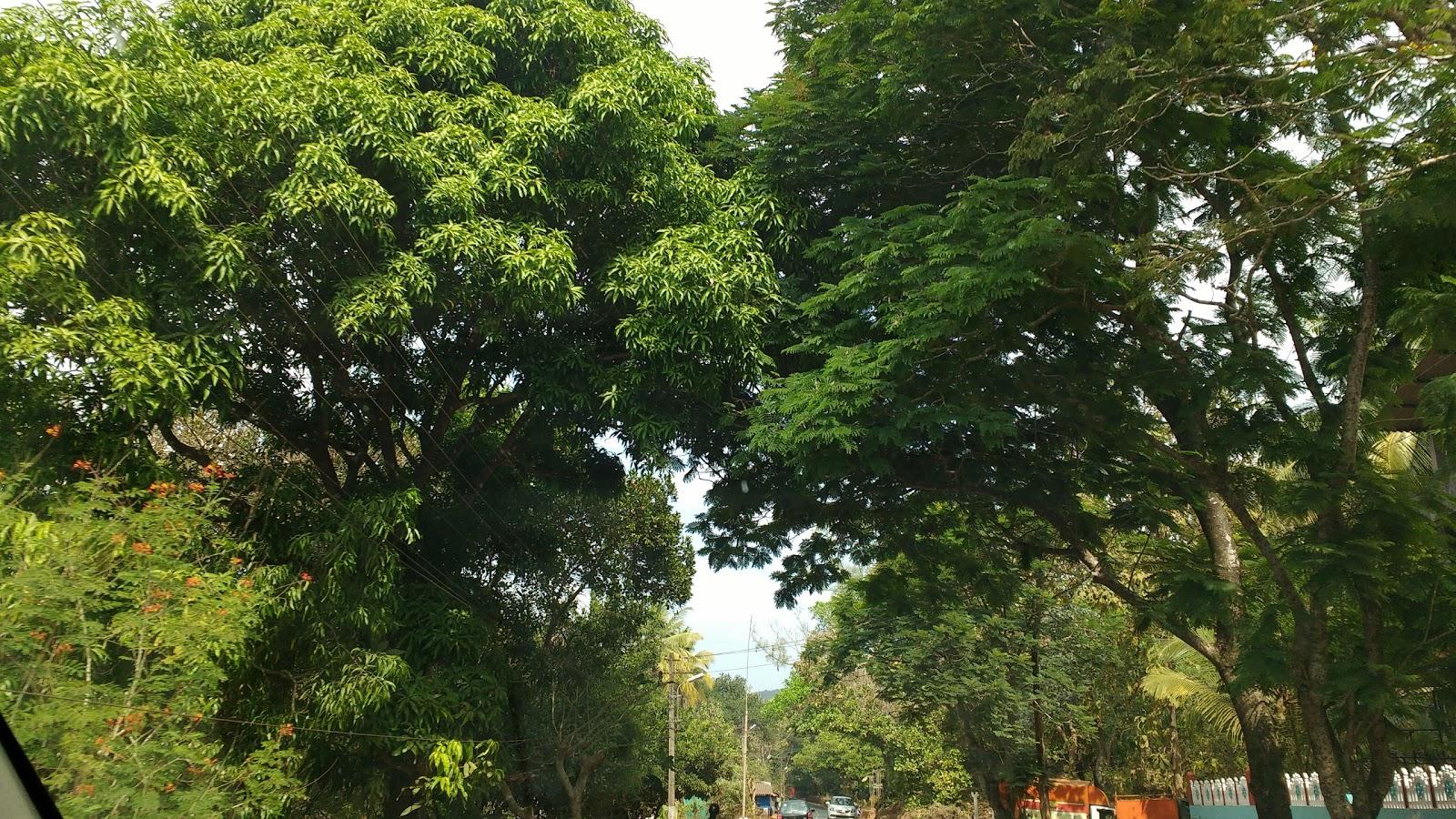 Sandee Pantai Batee Tunggai
